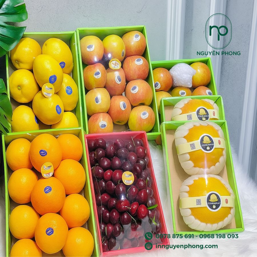 Top 5 Công Ty In Khay Đựng Trái Cây Giá Rẻ Uy Tín Tại TP HCM